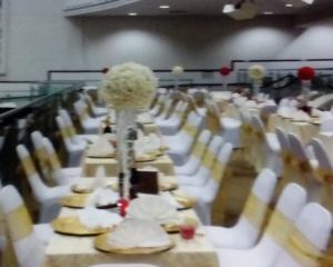 Experienced Doctor Experienced Hands